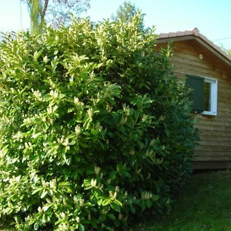 22m² Avec Terrasse Pour 5 Pers. - Api-1-52-629 Campeggio
